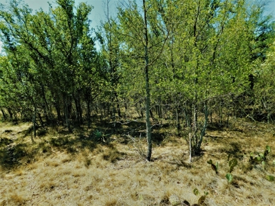 Lake Brownwood  Lot for Sale - image 5