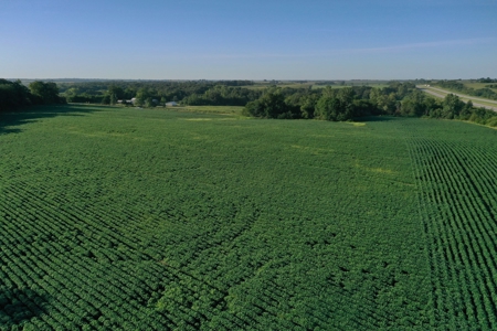 Northwest Missouri 36 Acres For Sale - image 7