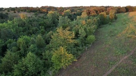 Monroe County Iowa Hunting Tract - image 26