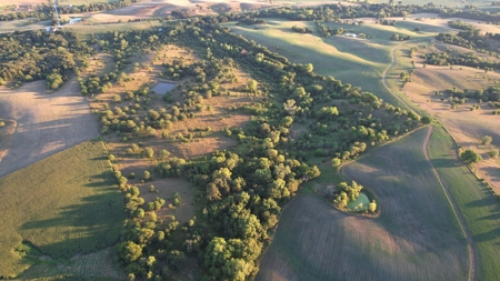 Monroe County Iowa Hunting Tract - image 3
