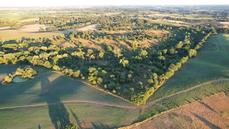 Monroe County Iowa Hunting Tract - image 4