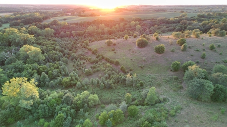 Monroe County Iowa Hunting Tract - image 21