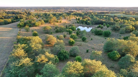 Monroe County Iowa Hunting Tract - image 12