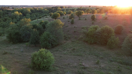 Monroe County Iowa Hunting Tract - image 18