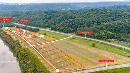 Riverfront Property in Burkesville, KY - image 8