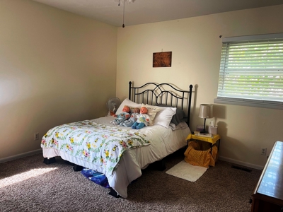Home in Cherokee Village AR for sale - image 4