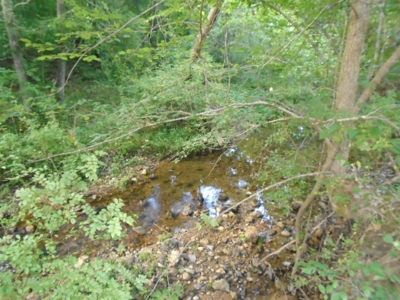 Recreational Property In Missouri Ozarks - image 9