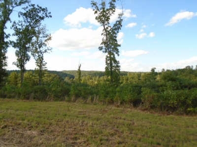 Recreational Property In Missouri Ozarks - image 11