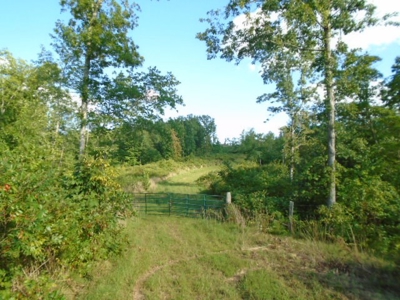 Recreational Property In Missouri Ozarks - image 12
