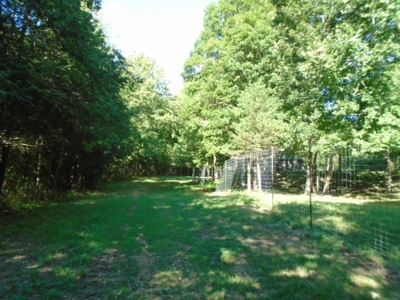Recreational Property In Missouri Ozarks - image 4