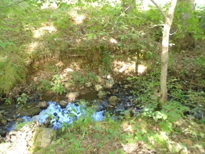 Recreational Property In Missouri Ozarks - image 5