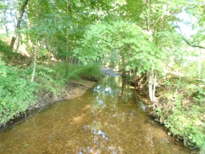 Recreational Property In Missouri Ozarks - image 1