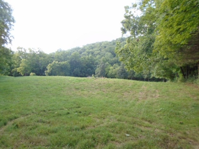 Recreational Property In Missouri Ozarks - image 16