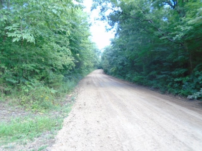 Recreational Property In Missouri Ozarks - image 17