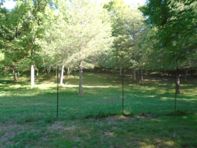 Recreational Property In Missouri Ozarks - image 3