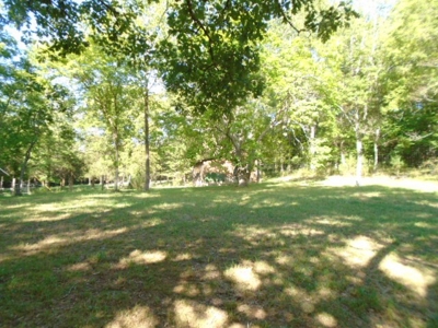 Recreational Property In Missouri Ozarks - image 6