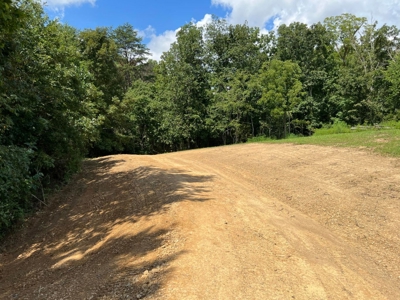 2 Acres For Sale in Mosheim, TN - image 2