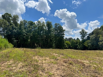 2 Acres For Sale in Mosheim, TN - image 11