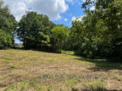 2 Acres For Sale in Mosheim, TN - image 8