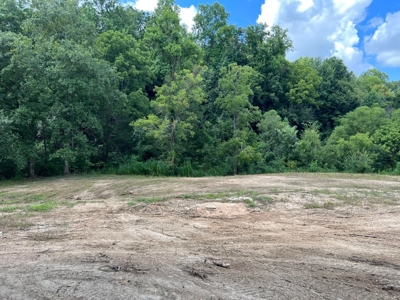 2 Acres For Sale in Mosheim, TN - image 20