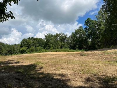 2 Acres For Sale in Mosheim, TN - image 7