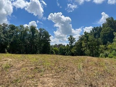 2 Acres For Sale in Mosheim, TN - image 10