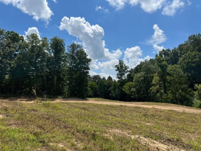 2 Acres For Sale in Mosheim, TN - image 12