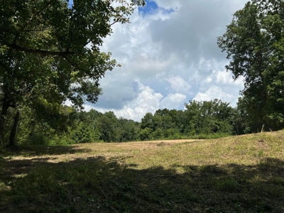 2 Acres For Sale in Mosheim, TN - image 6