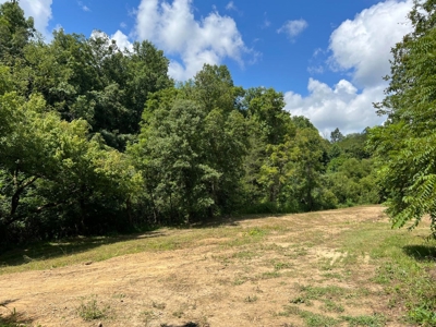 2 Acres For Sale in Mosheim, TN - image 1