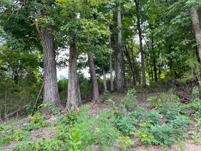 2 Acres For Sale in Mosheim, TN - image 17