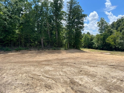 2 Acres For Sale in Mosheim, TN - image 14