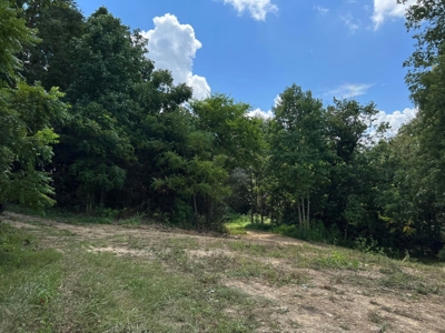 2 Acres For Sale in Mosheim, TN - image 21