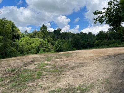 2 Acres For Sale in Mosheim, TN - image 22