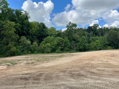 2 Acres For Sale in Mosheim, TN - image 18