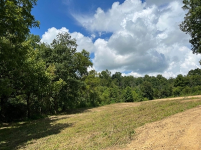 2 Acres For Sale in Mosheim, TN - image 4