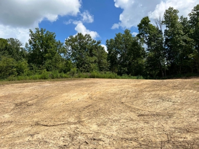 2 Acres For Sale in Mosheim, TN - image 9