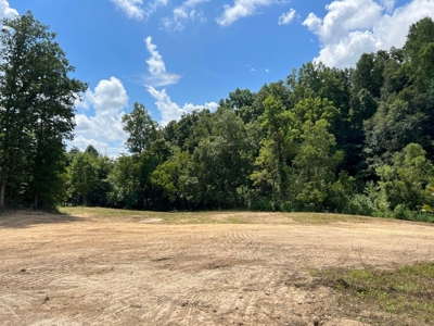 2 Acres For Sale in Mosheim, TN - image 16