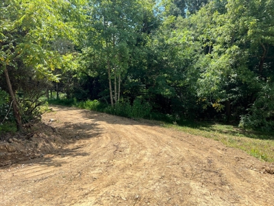 2 Acres For Sale in Mosheim, TN - image 24