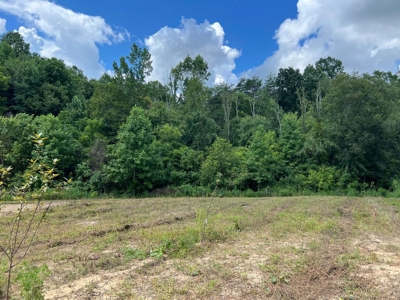 2 Acres For Sale in Mosheim, TN - image 15
