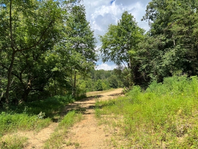 2 Acres For Sale in Mosheim, TN - image 3