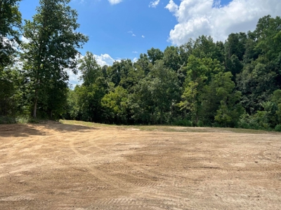 2 Acres For Sale in Mosheim, TN - image 19