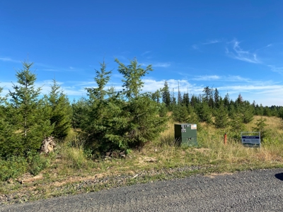 Land for Sale in Clearwater County, ID - image 24