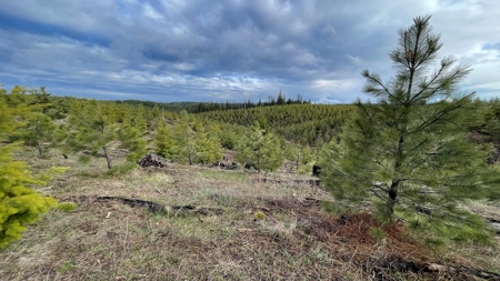 Recreational Land for Sale in Clearwater County, Idaho - image 1