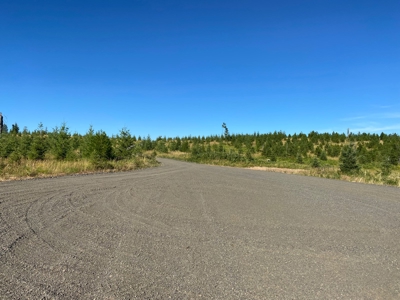 Recreational Land for Sale in Clearwater County, Idaho - image 19