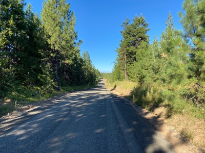 Recreational Land for Sale in Clearwater County, Idaho - image 24