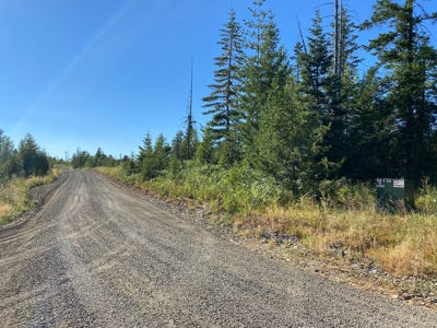 Recreational Land for Sale in Clearwater County, Idaho - image 18