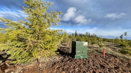 Recreational Land for Sale in Clearwater County, Idaho - image 17