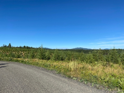 Recreational Land for Sale in Clearwater County, Idaho - image 23