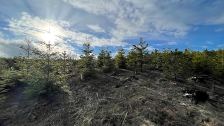 Recreational Land for Sale in Clearwater County, Idaho - image 15
