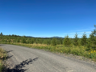 Recreational Land for Sale in Clearwater County, Idaho - image 21